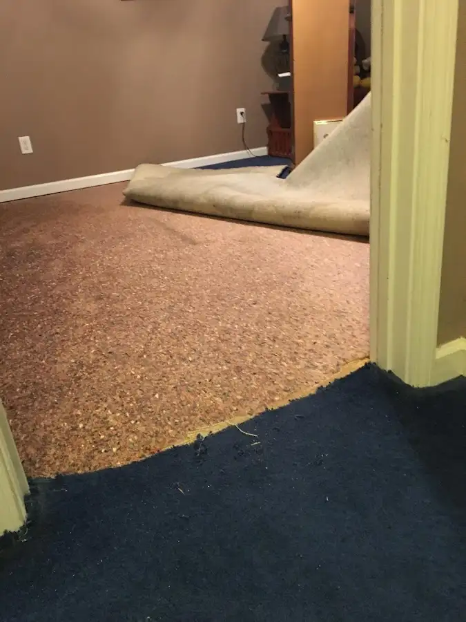 Carpet pad removal revealing water damage during Drying & Dehumidification in Hollidaysburg