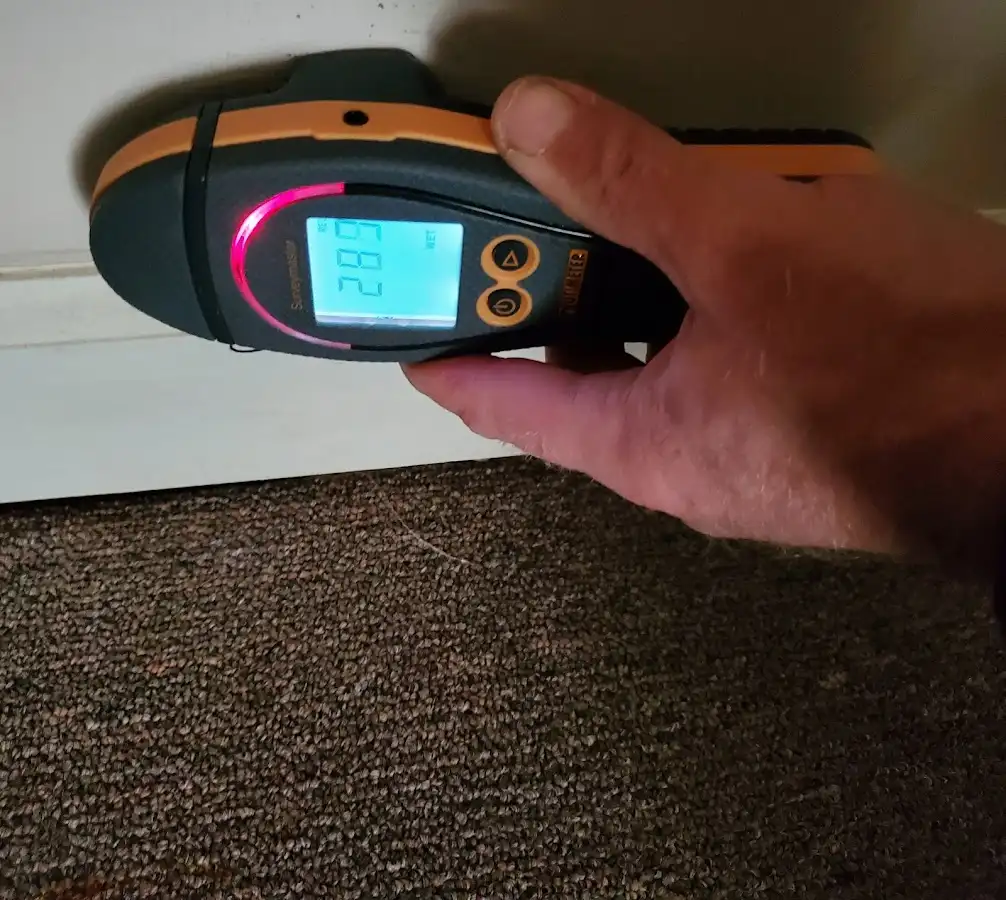 Moisture detection at baseboard during Sewage Cleanup & Sanitation in Hollidaysburg
